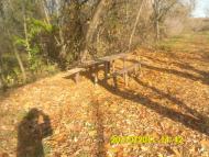 Арсенівка з panoramio.com