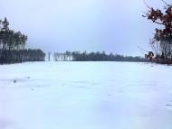 Вишняки з panoramio.com