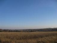 Чапля - Останні фото