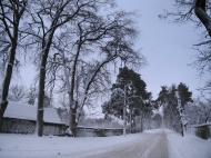 Немішаєве з panoramio.com