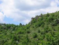 Загнітків з panoramio.com