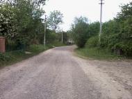 Лани з panoramio.com