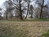 Цурків з panoramio.com