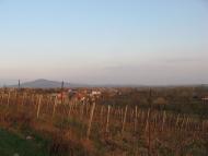 Нижні Ремети з panoramio.com