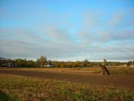 Трушівці з panoramio.com