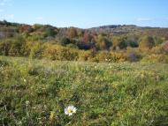 Нижні Синівці з panoramio.com