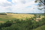 Глинськ з panoramio.com - Глинск