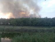 Новохортиця з panoramio.com