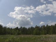 Діброво-Ленінське з panoramio.com