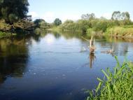 Бережці з panoramio.com