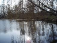 Цурків з panoramio.com