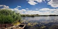 Кучурган з panoramio.com