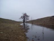 Ананьїв з panoramio.com