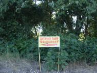 Степашки з panoramio.com