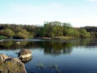 Мала Бушинка з panoramio.com