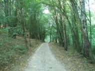 Переморівка - Останні фото