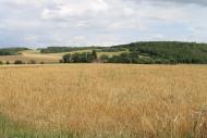 Глинськ з panoramio.com - Глинск