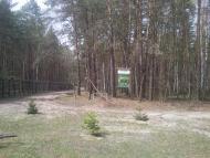 Котів з panoramio.com