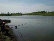 Орлове з panoramio.com