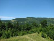 Косівська Поляна з panoramio.com