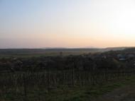 Нижні Ремети з panoramio.com