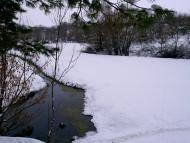 Вихрівка - Останні фото