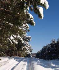 Островерхівка з panoramio.com