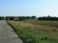 Новоукраїнка - Останні фото