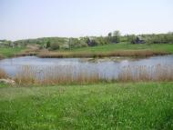 Темрюк з panoramio.com