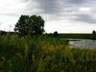 Дослідницьке з panoramio.com