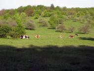 Островерхівка з panoramio.com