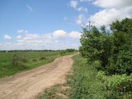 Світле з panoramio.com