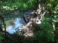 Лиман Перший - Останні фото