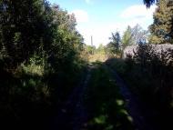 Бірківське з panoramio.com