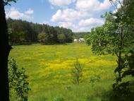 Нова Січ з panoramio.com