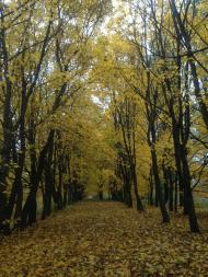 Вовківці з panoramio.com