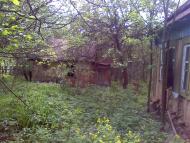 Коверівка з panoramio.com