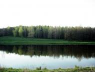 Мала Бушинка з panoramio.com