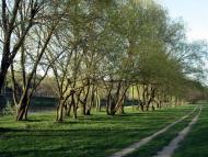 Печера з panoramio.com