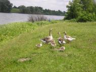 Мислятин з panoramio.com