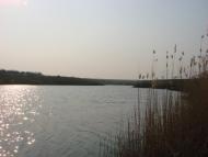 Переможне з panoramio.com
