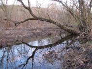 Кип'ячка з panoramio.com