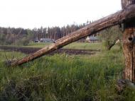 Обірки з panoramio.com