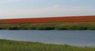 Переможне з panoramio.com