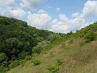 Миньківці з panoramio.com