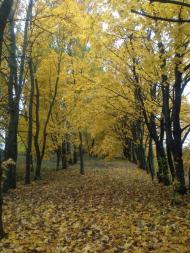 Вовківці з panoramio.com