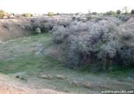 Долинське з panoramio.com