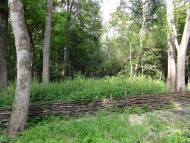 Івахнівка з panoramio.com