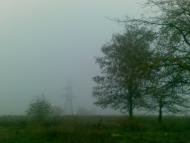 Світле з panoramio.com