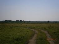 Гусина Поляна з panoramio.com